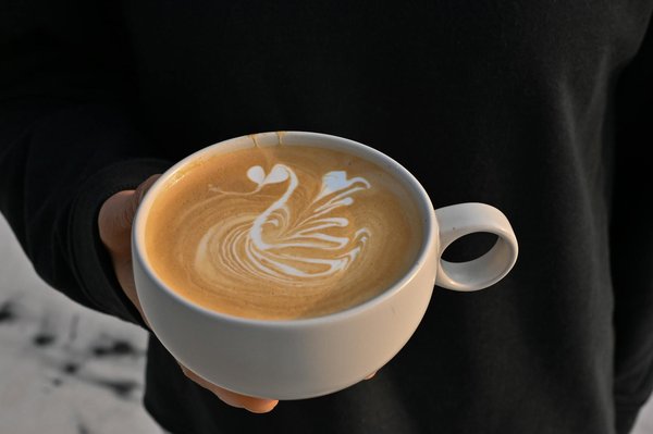 Les colliers cheval : élégance pour chaque passionné équestre